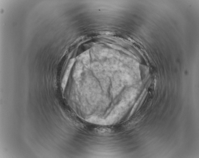 X0000088830512200707051425