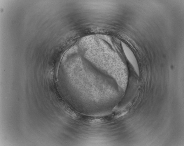 X0000088830513200707051425