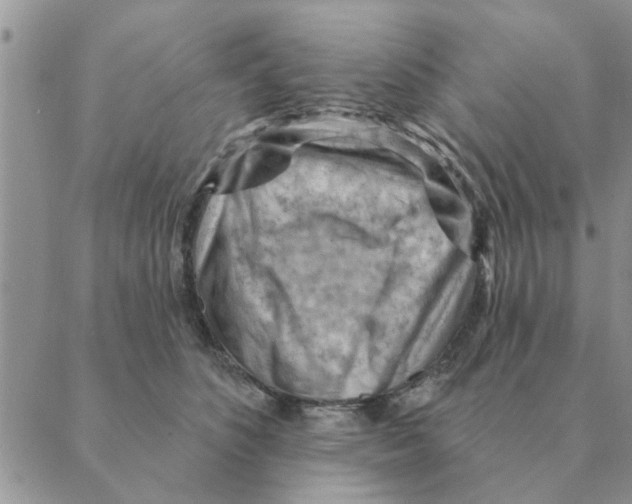 X0000088830516200707051425