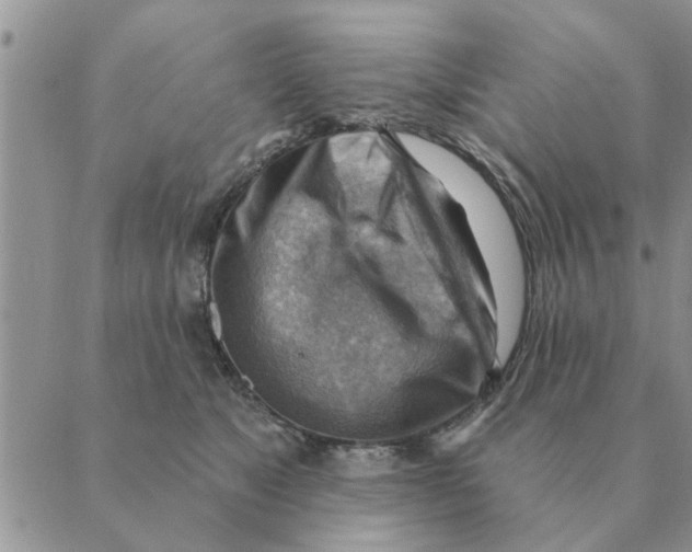 X0000088830517200707051425