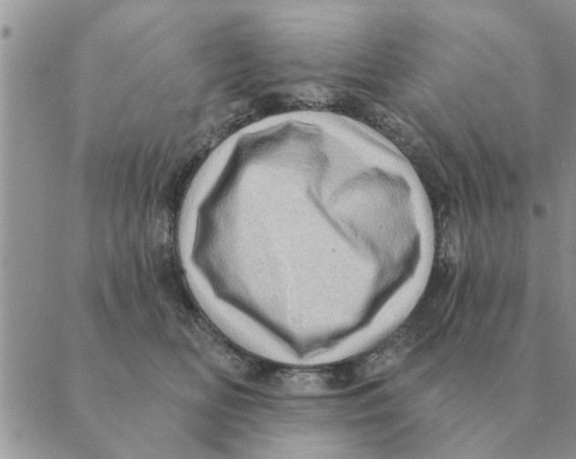 X0000088830518200707051425