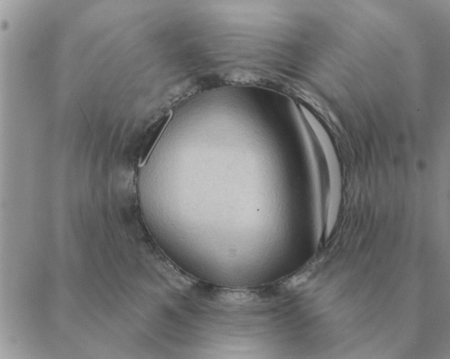 X0000088830521200707051425