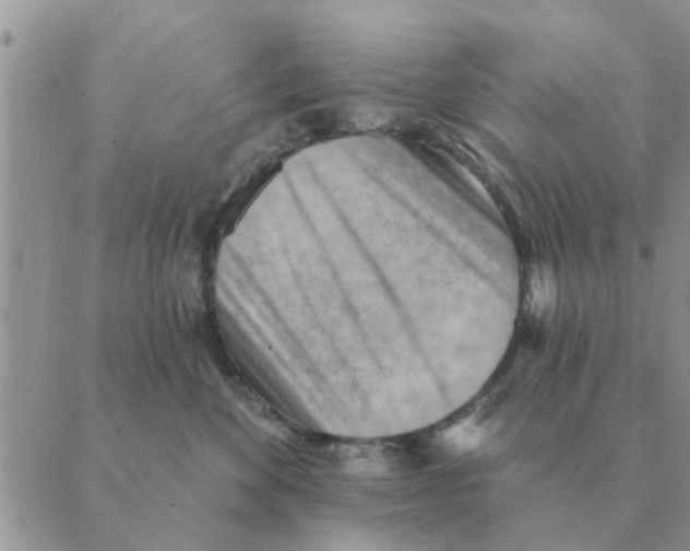 X0000088830524200707051425