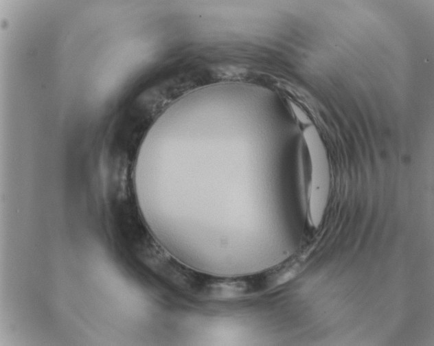 X0000088830525200707051425