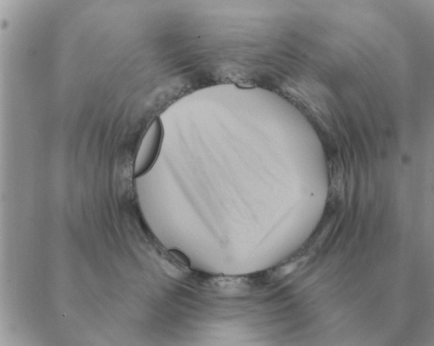 X0000088830526200707051425