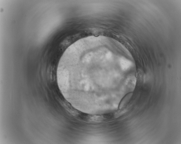 X0000088830527200707051425