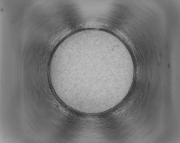 X0000088830529200707051424