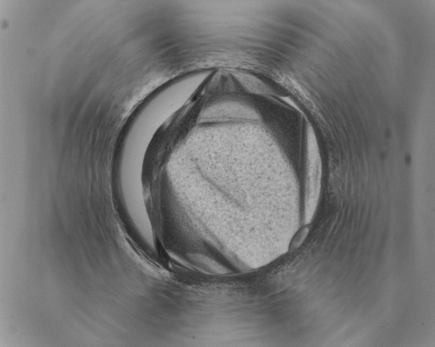 X0000088830530200707051424