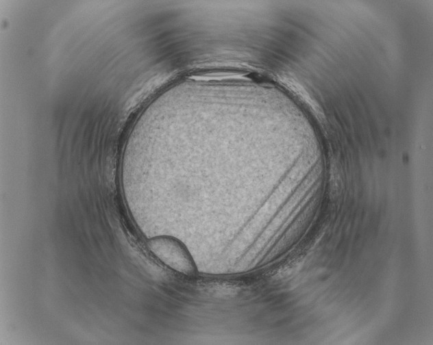 X0000088830533200707051424