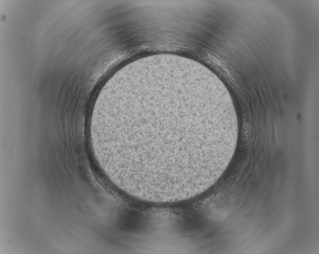 X0000088830534200707051424