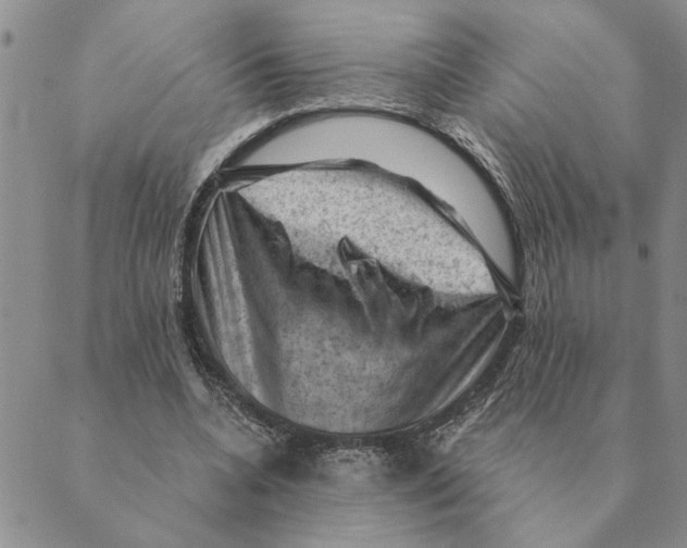 X0000088830536200707051424