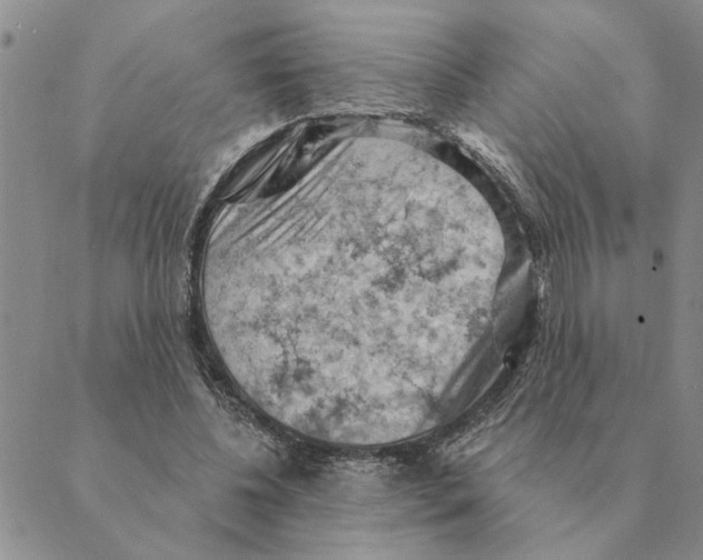 X0000088830540200707051424