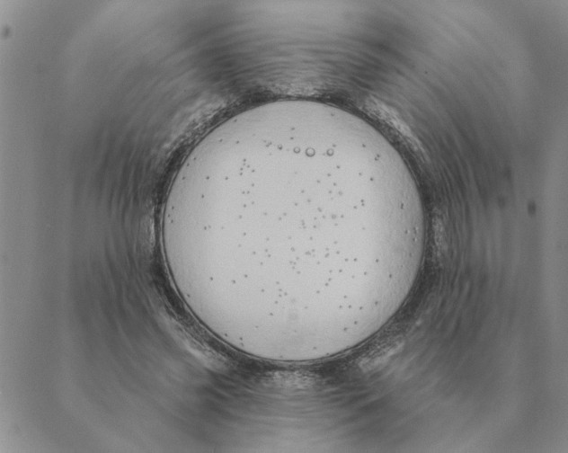 X0000088830541200707051424