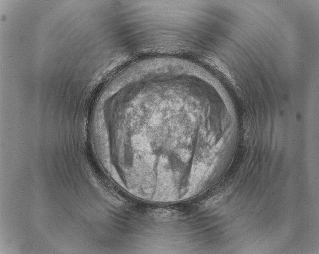 X0000088830542200707051424