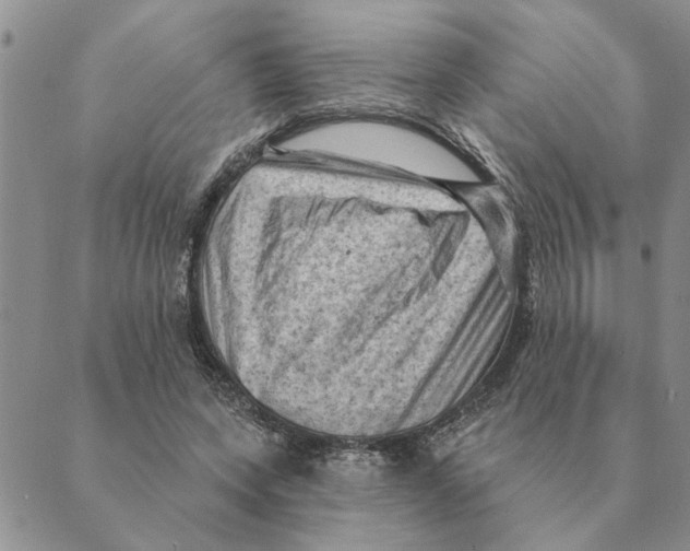 X0000088830543200707051424