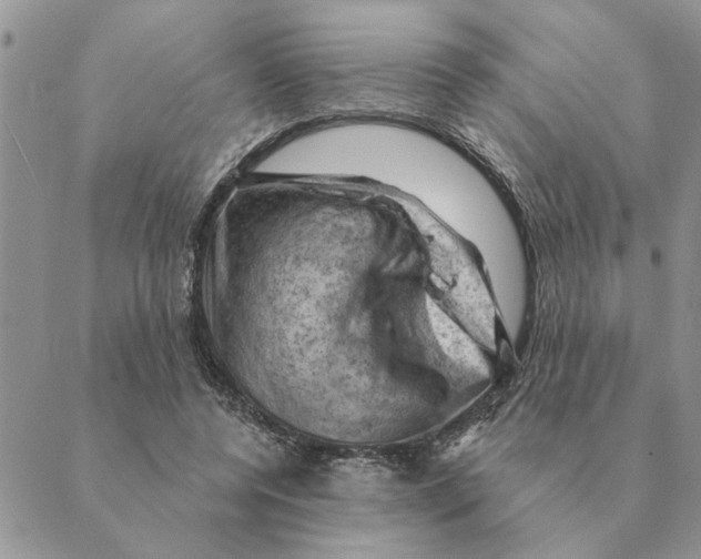 X0000088830544200707051424