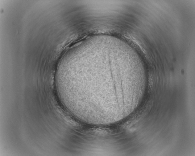 X0000088830545200707051425