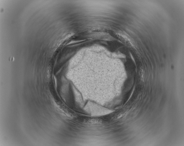 X0000088830546200707051425