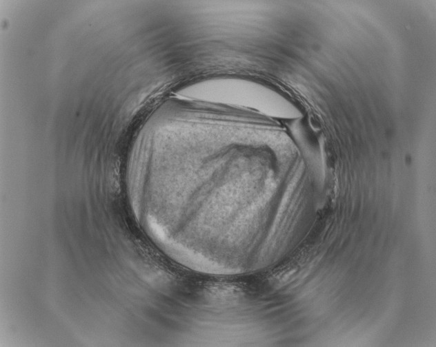 X0000088830547200707051425