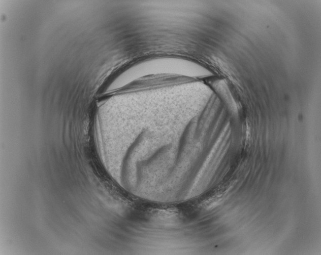 X0000088830548200707051425