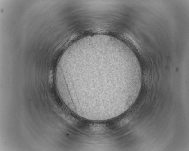 X0000088830549200707051425