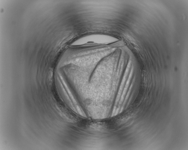 X0000088830550200707051425