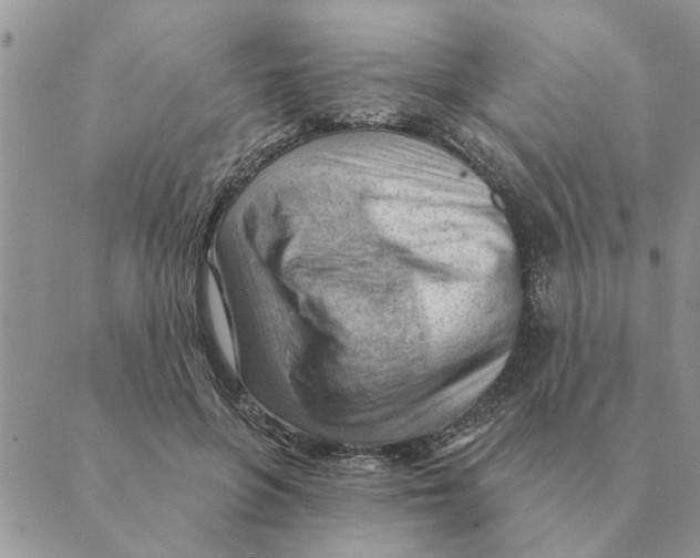 X0000088830551200707051425