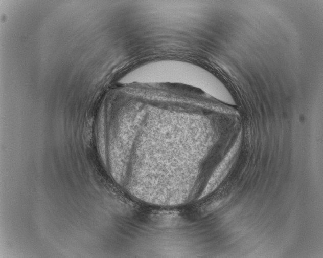 X0000088830554200707051425