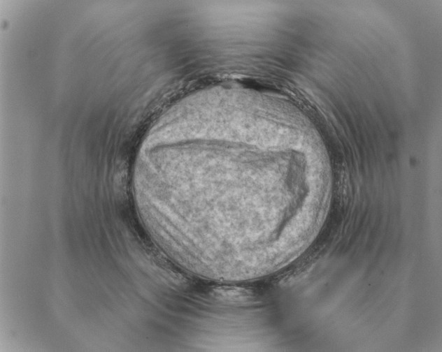 X0000088830557200707051425