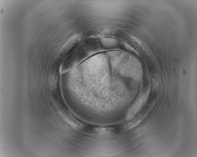 X0000088830558200707051425