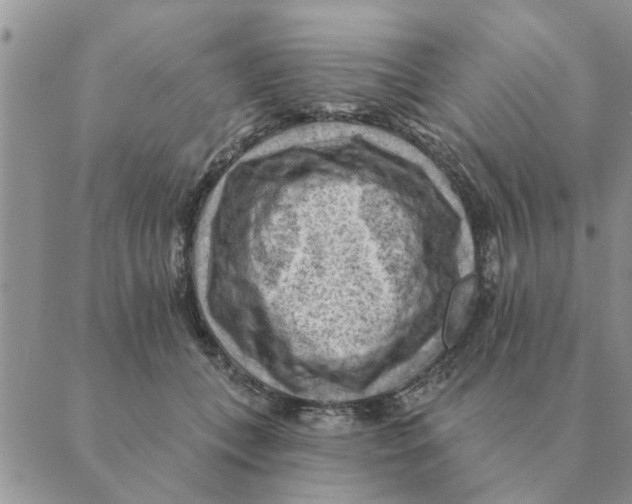 X0000088830559200707051425