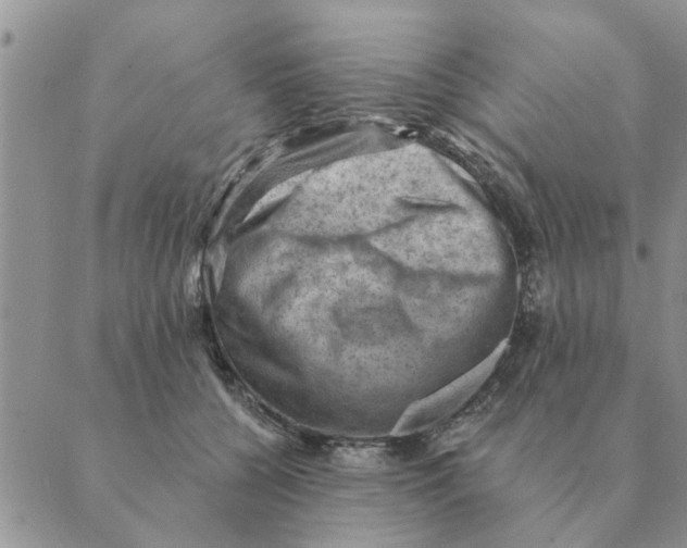 X0000088830560200707051425