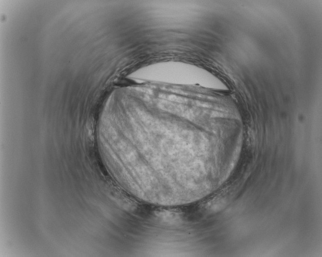 X0000088830561200707051425