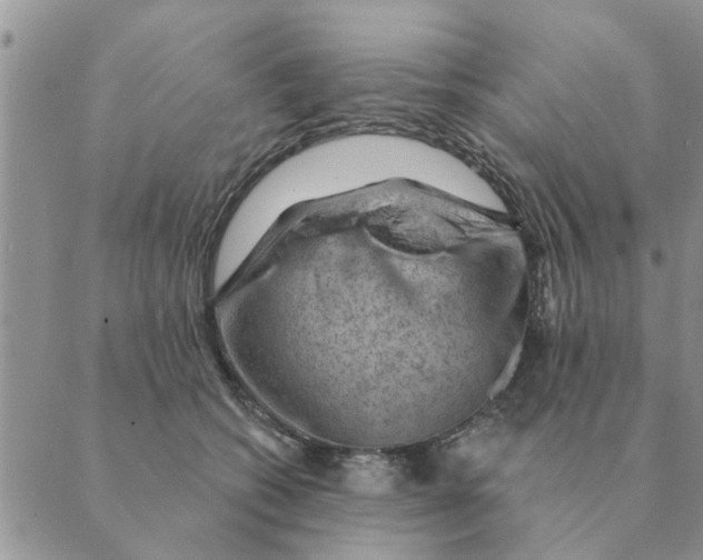 X0000088830562200707051425