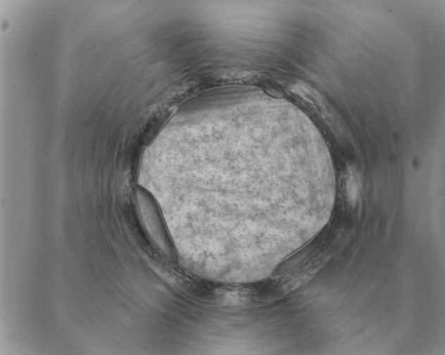 X0000088830564200707051425