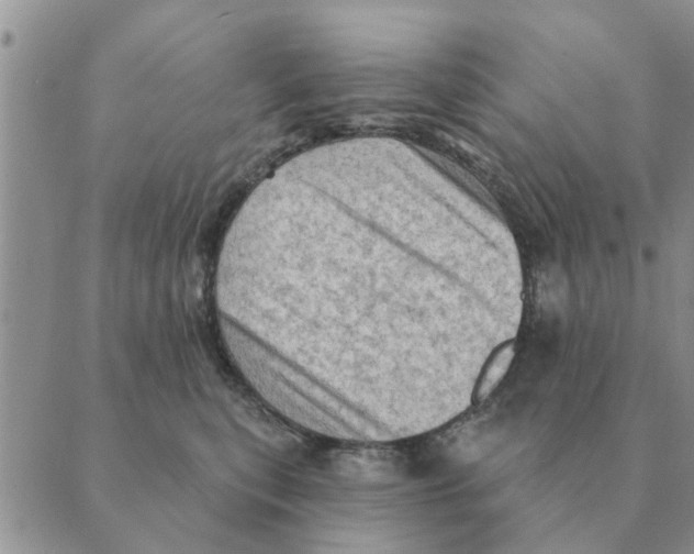 X0000088830567200707051425