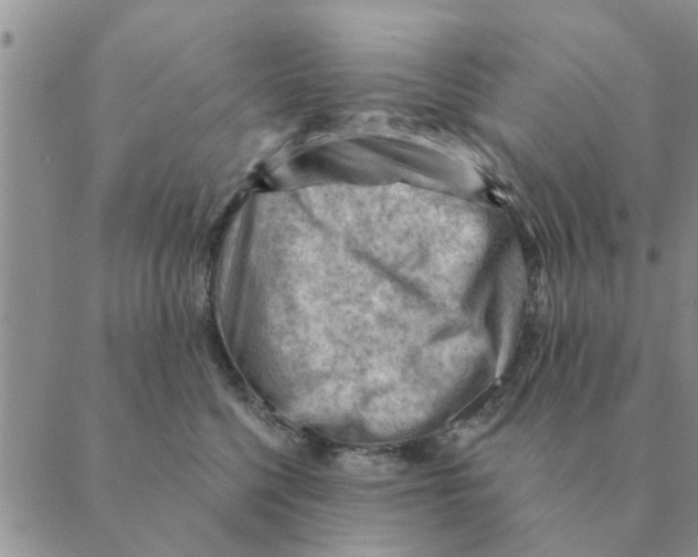 X0000088830568200707051425