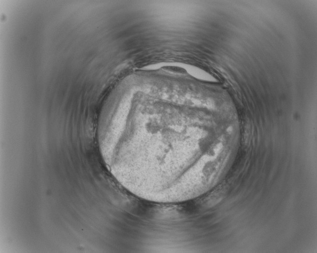 X0000088830569200707051425