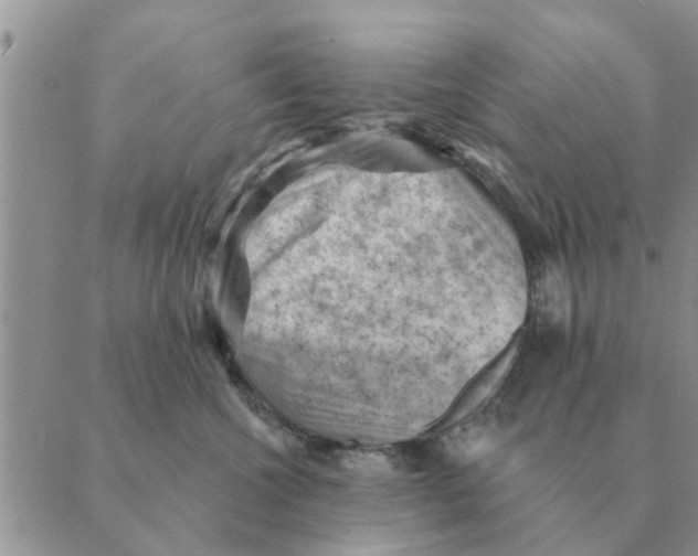 X0000088830572200707051425