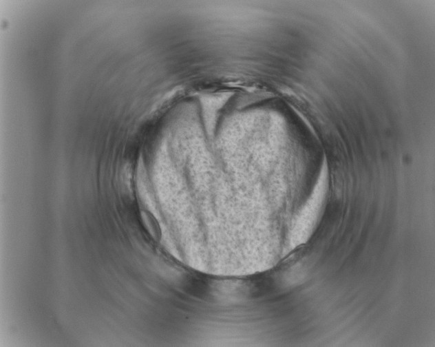 X0000088830575200707051425