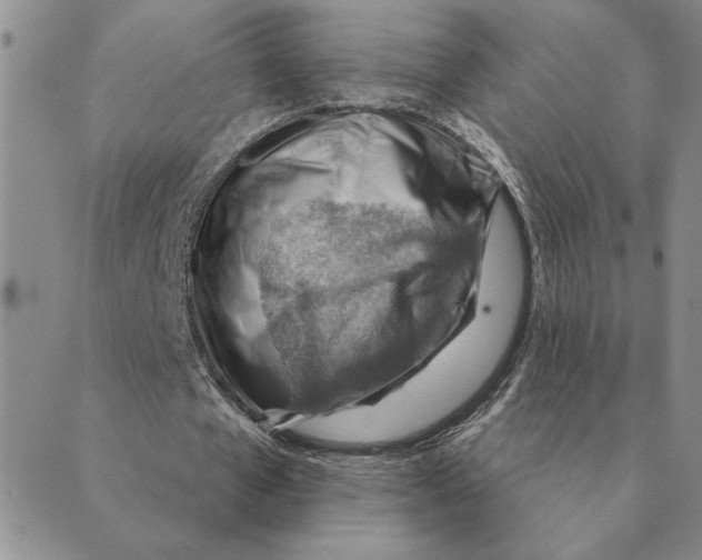 X0000088830577200707051424