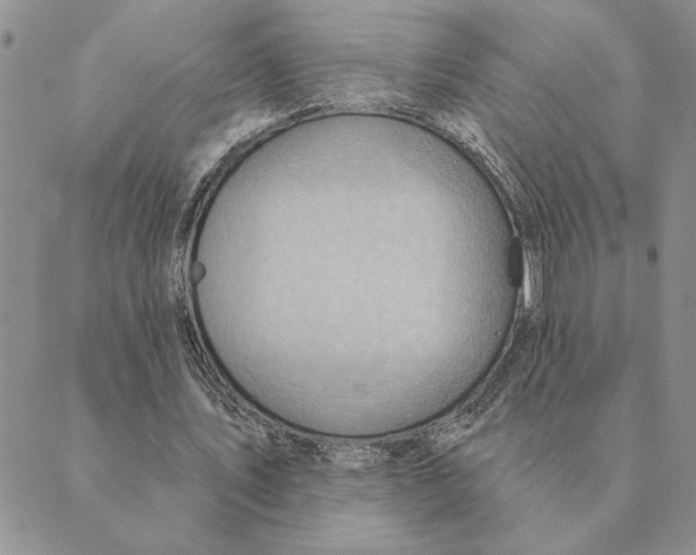 X0000088830579200707051424