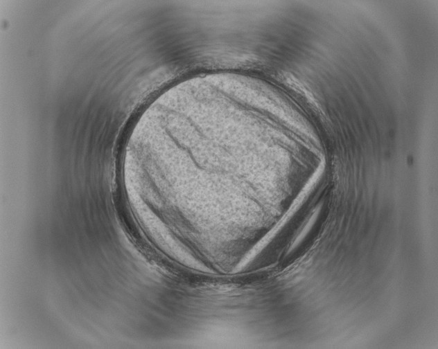 X0000088830582200707051424