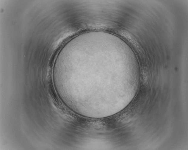 X0000088830583200707051424