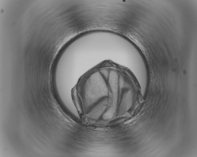 X0000088830584200707051424