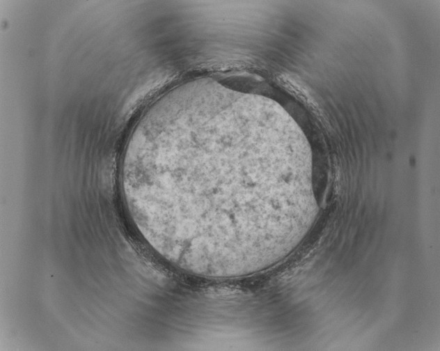 X0000088830586200707051424