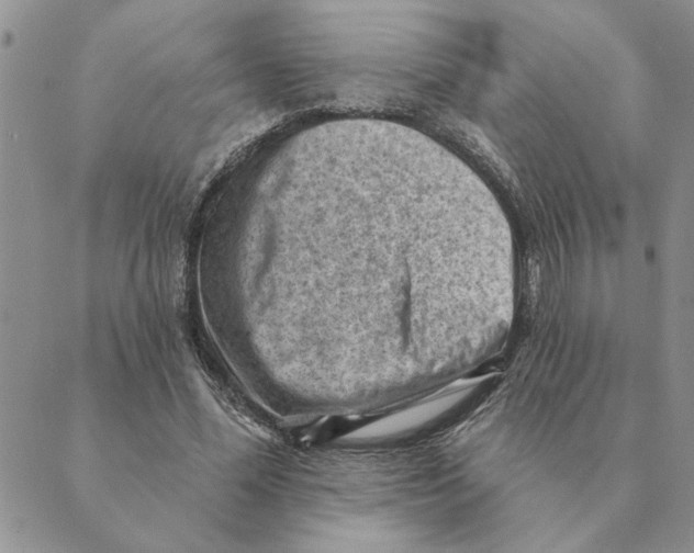 X0000088830588200707051424