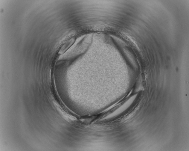 X0000088830589200707051424