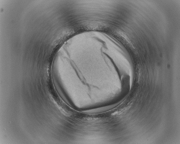 X0000088830590200707051424