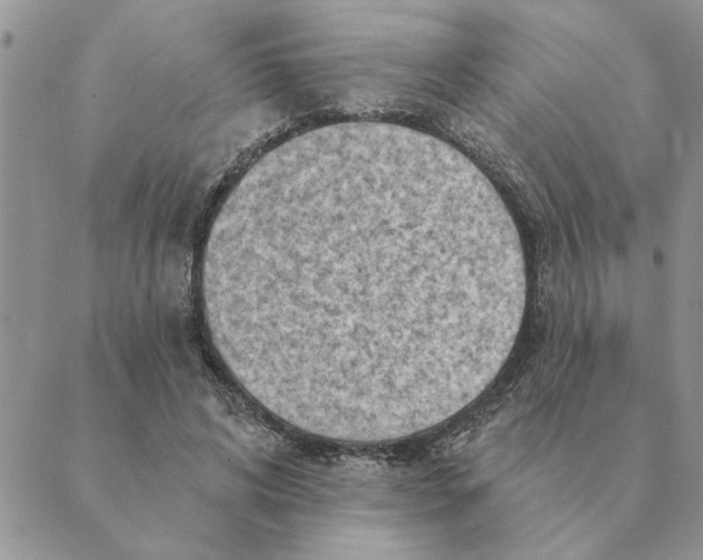 X0000088830592200707051424